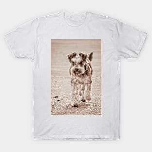 Flo out for a stroll T-Shirt